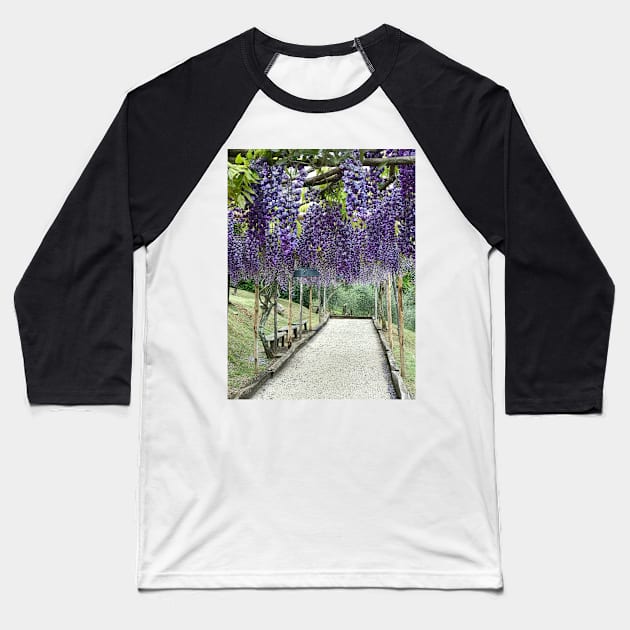 Purple Wisteria Baseball T-Shirt by ephotocard